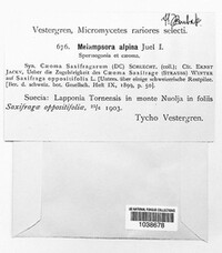 Image Associated With the Occurence